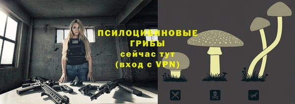 тгк Навашино