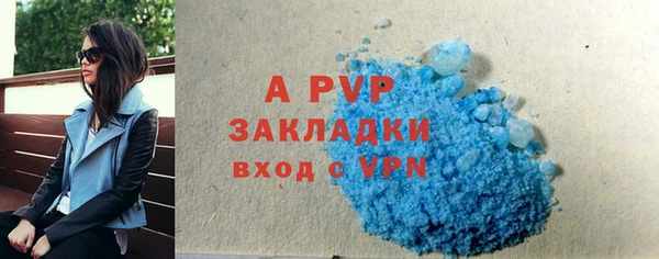 ПСИЛОЦИБИНОВЫЕ ГРИБЫ Елизово