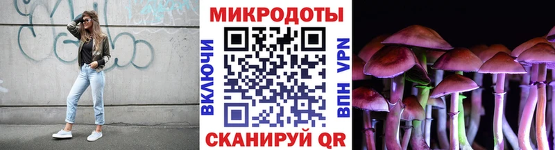 купить наркоту  Энем  кракен как зайти  Псилоцибиновые грибы MAGIC MUSHROOMS 